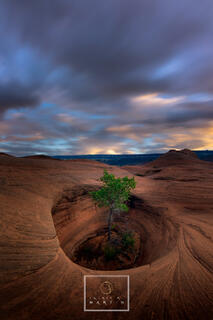 Southwest Landscapes