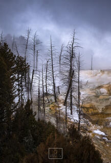 Happy Little Mistakes