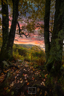 Fall on the Carolina Blur Ridge Parkway