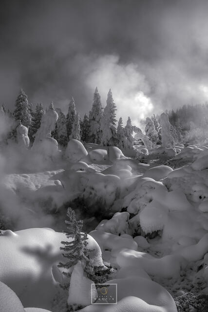 A Treasure in Yellowstone print