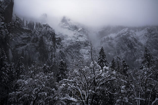 A Winters Dream print