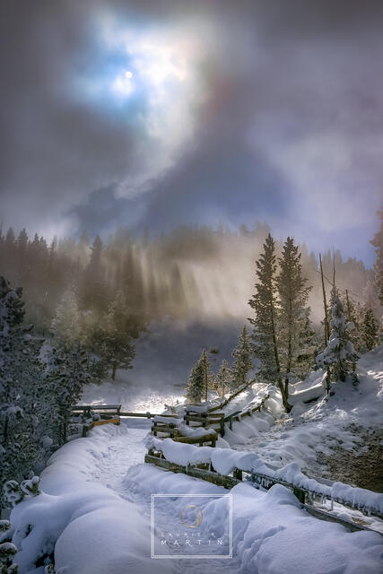 A Winter's Walk print