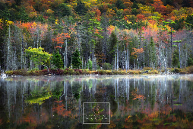 Acadia Crayon Box print