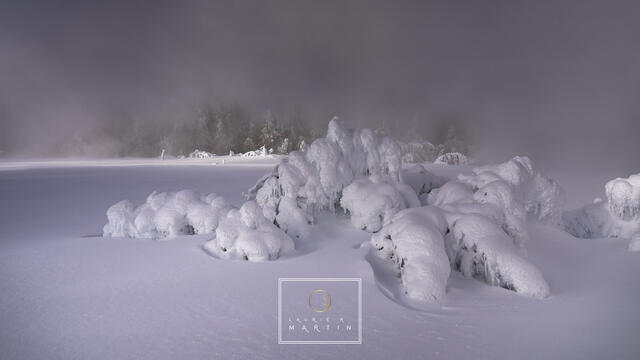 Beneath The Snow print