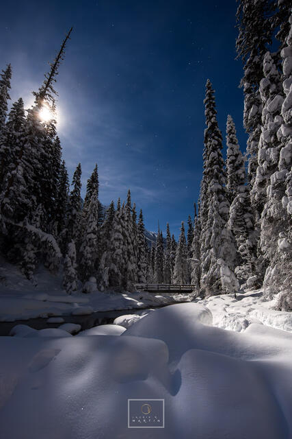 Canada Night Walk print