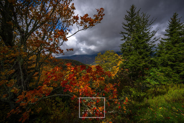 Carolina Fall on the Parkway print