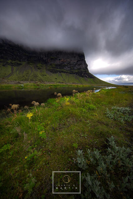 Iceland Meadows print