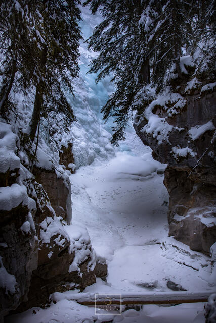 Johnson Falls print