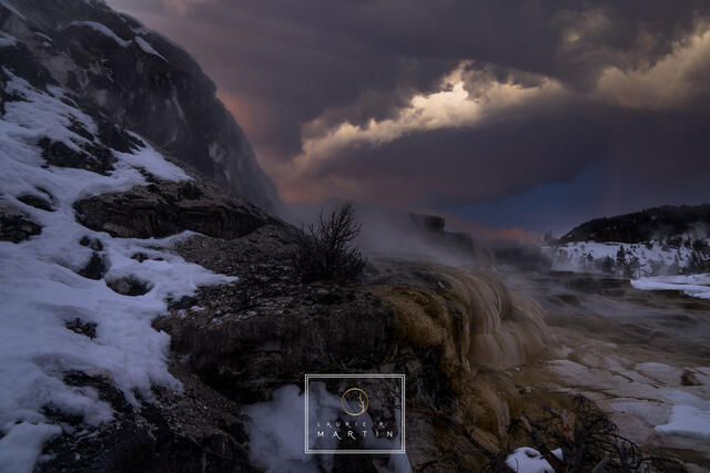 Mammoth Steam print