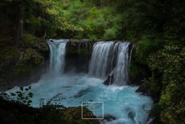 My Blue Spirit print