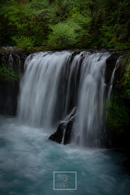 Natures Washing-Machine print