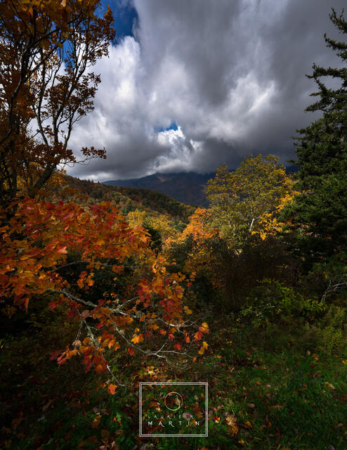 The Blue Ridge Parkway print