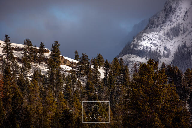 Out of Lamar Valley print