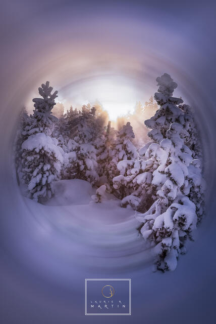Snow-Globe print