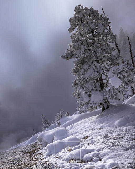 Steam and Snow print