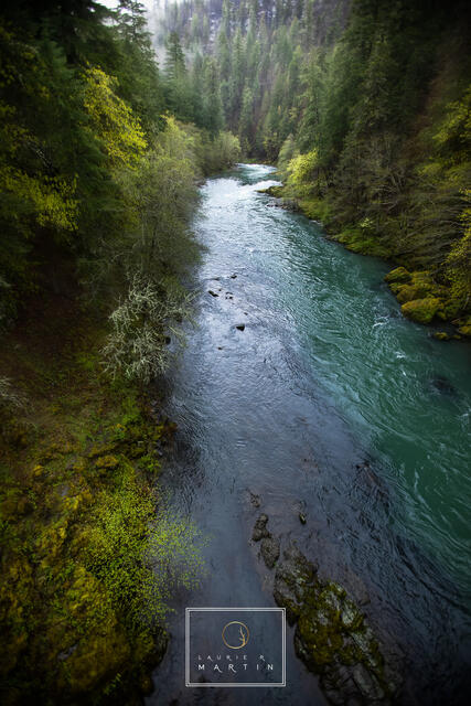 Steamboat Calling print