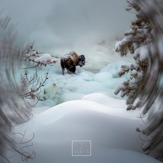 Winter Survival print