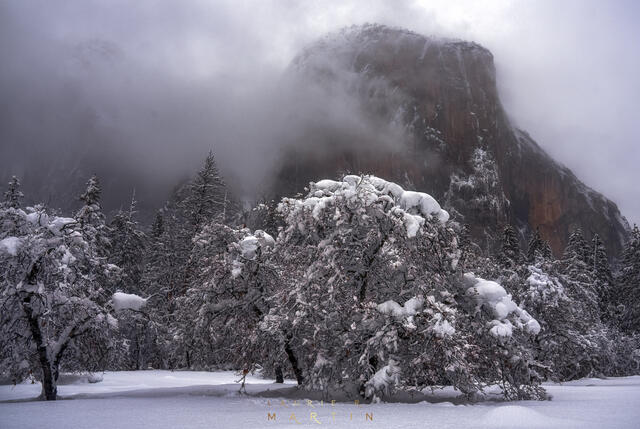 Yosemite Snow Fields print