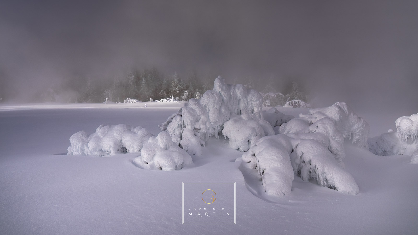 Beneath The Snow Beneath the snow in Yellowstone is a mystery. If You get use to shooting winter here, it is unrecognizable in the summer. This...