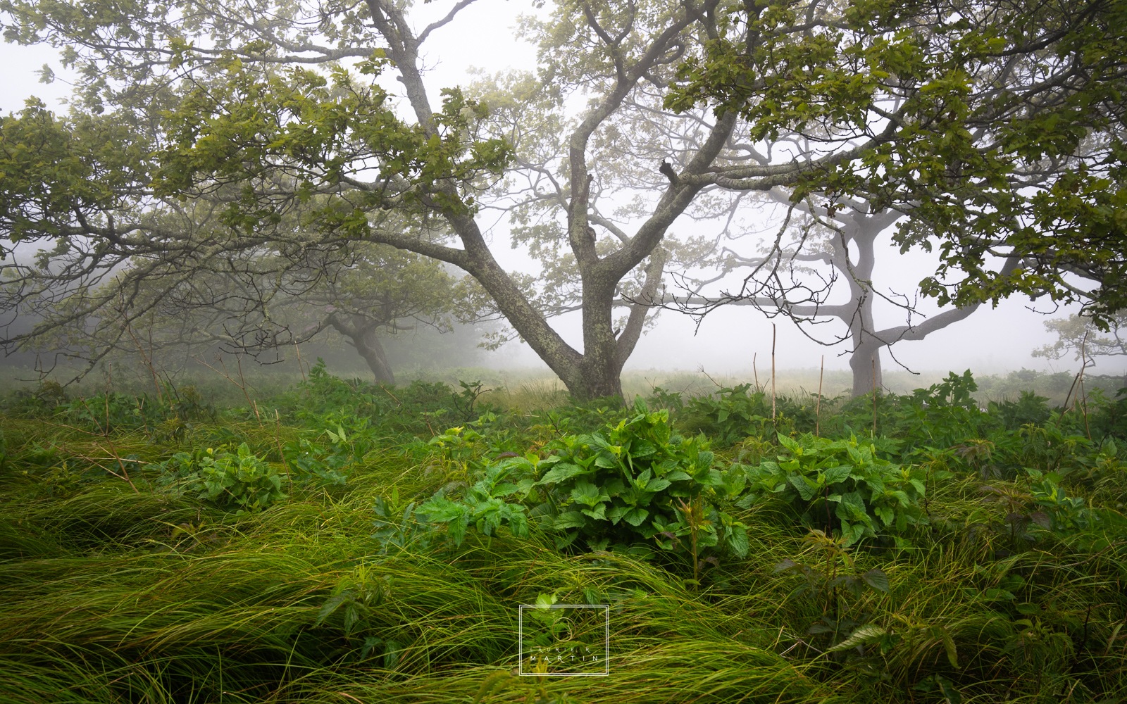 Home I have a lot of places I love to shoot but there really is no place like home.