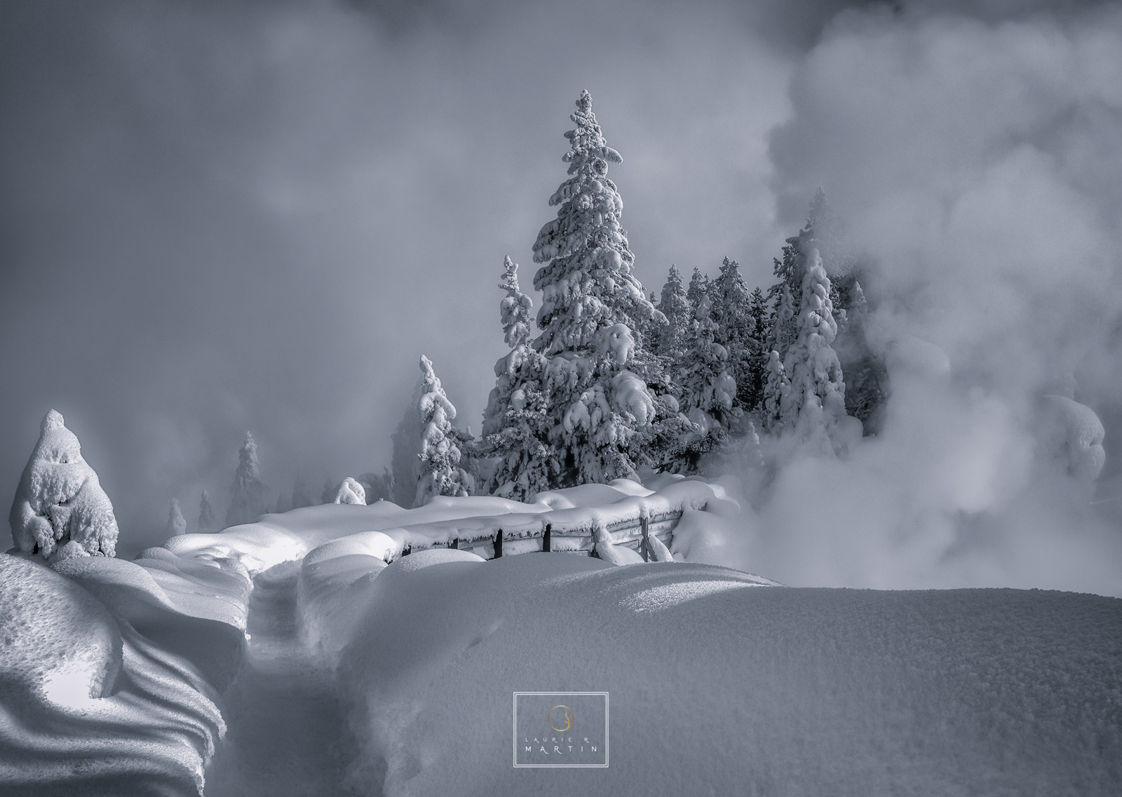 Steamboat Tracks When I see this image I think of the perfect winter postcard. An inviting thin trail carved out to hike on. As you go further...