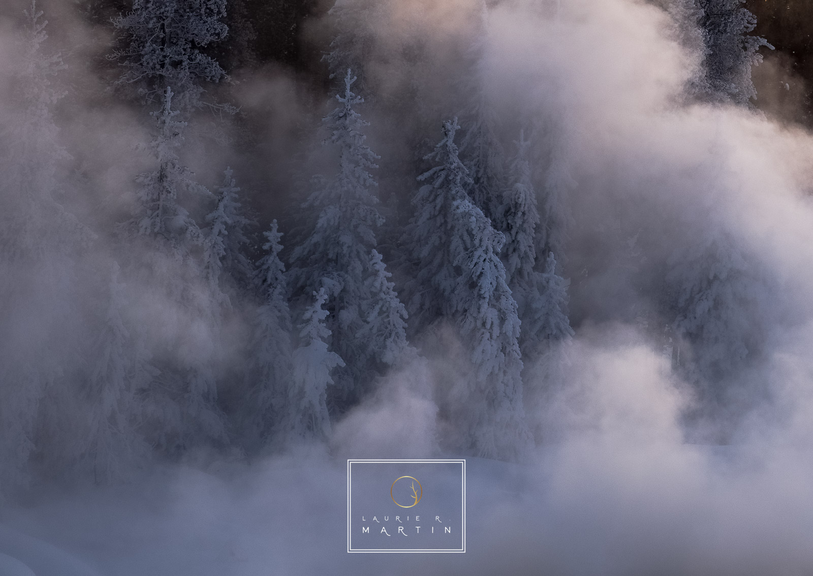 How many times do I stop and shoot fog and pine trees, this never gets old. The fog and steam sift in and out through the pines...