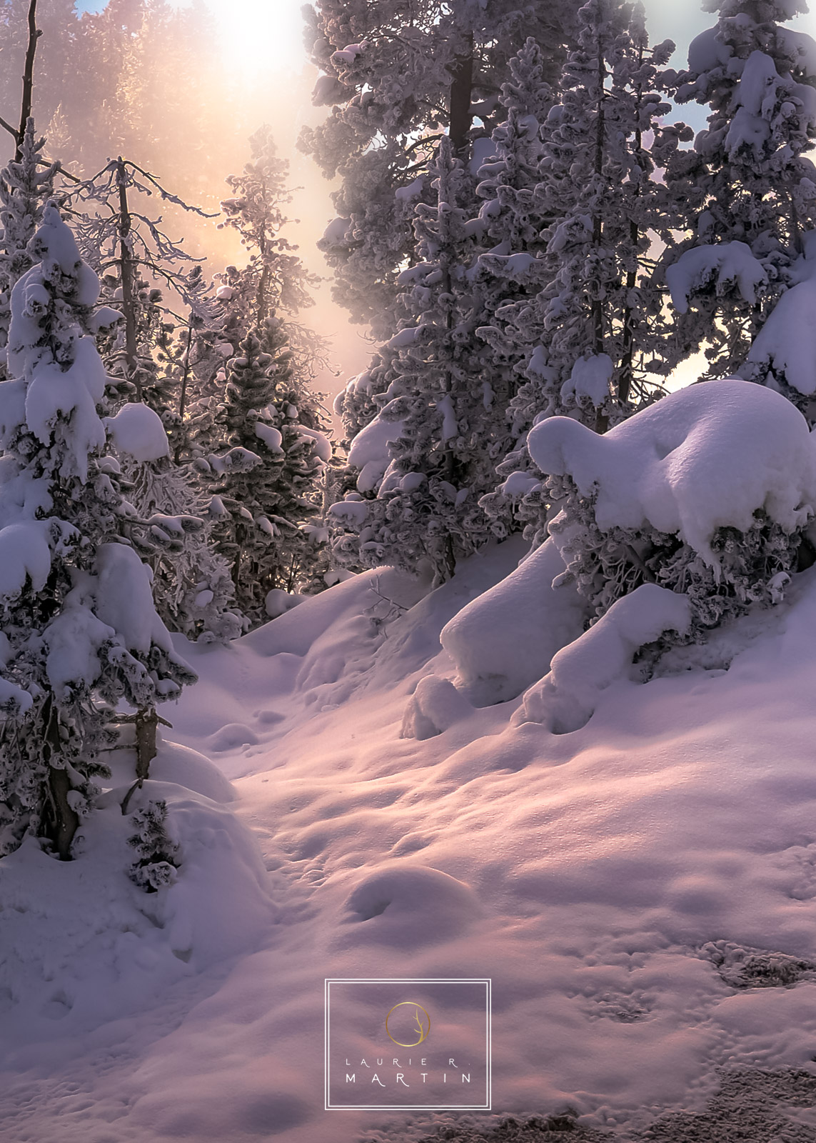 The Light In Yellowstone Yellowstone winter has pockets of light that just change and appear out of nowhere. Light comes and goes very quickly so no time...